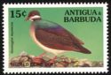 Bridled Quail-dove (Geotrygon mystacea)  
